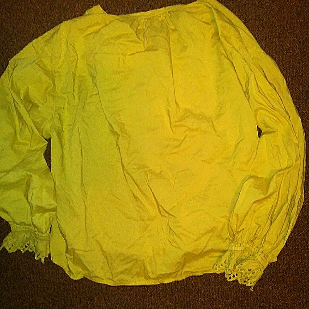 Velvet by graham & Spencer blouse